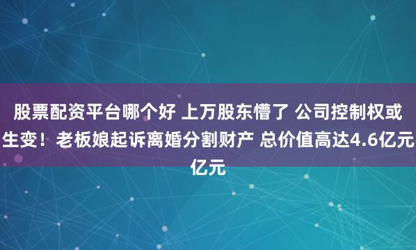 股票配资平台哪个好 上万股东懵了 公司控制权或生变！老板娘起诉离婚分割财产 总价值高达4.6亿元