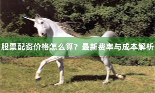股票配资价格怎么算？最新费率与成本解析