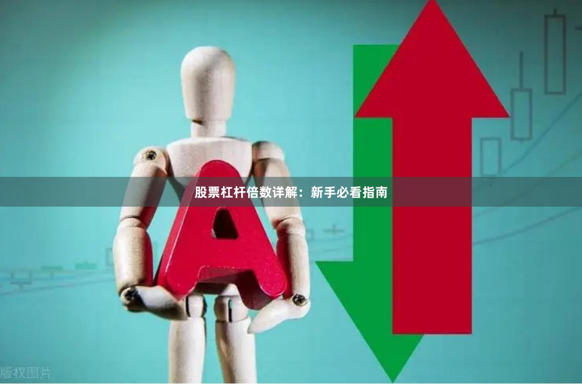 股票杠杆倍数详解：新手必看指南